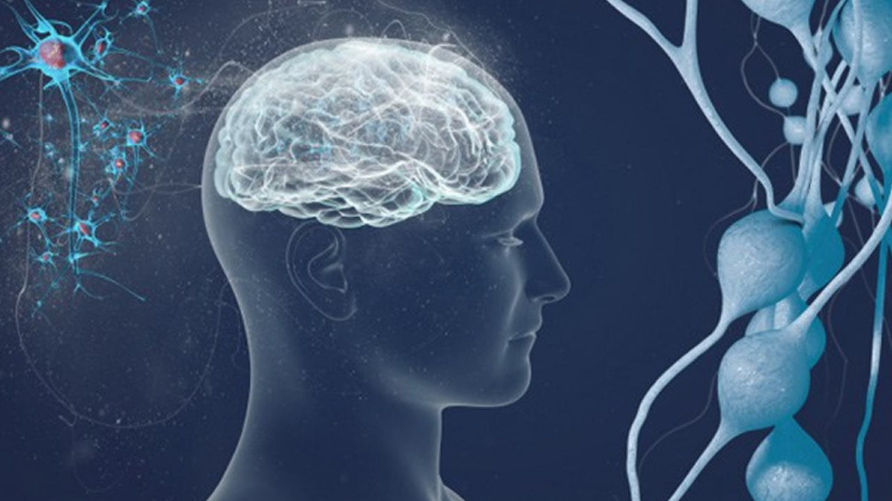 Stem Cell Therapy for Multiple Sclerosis