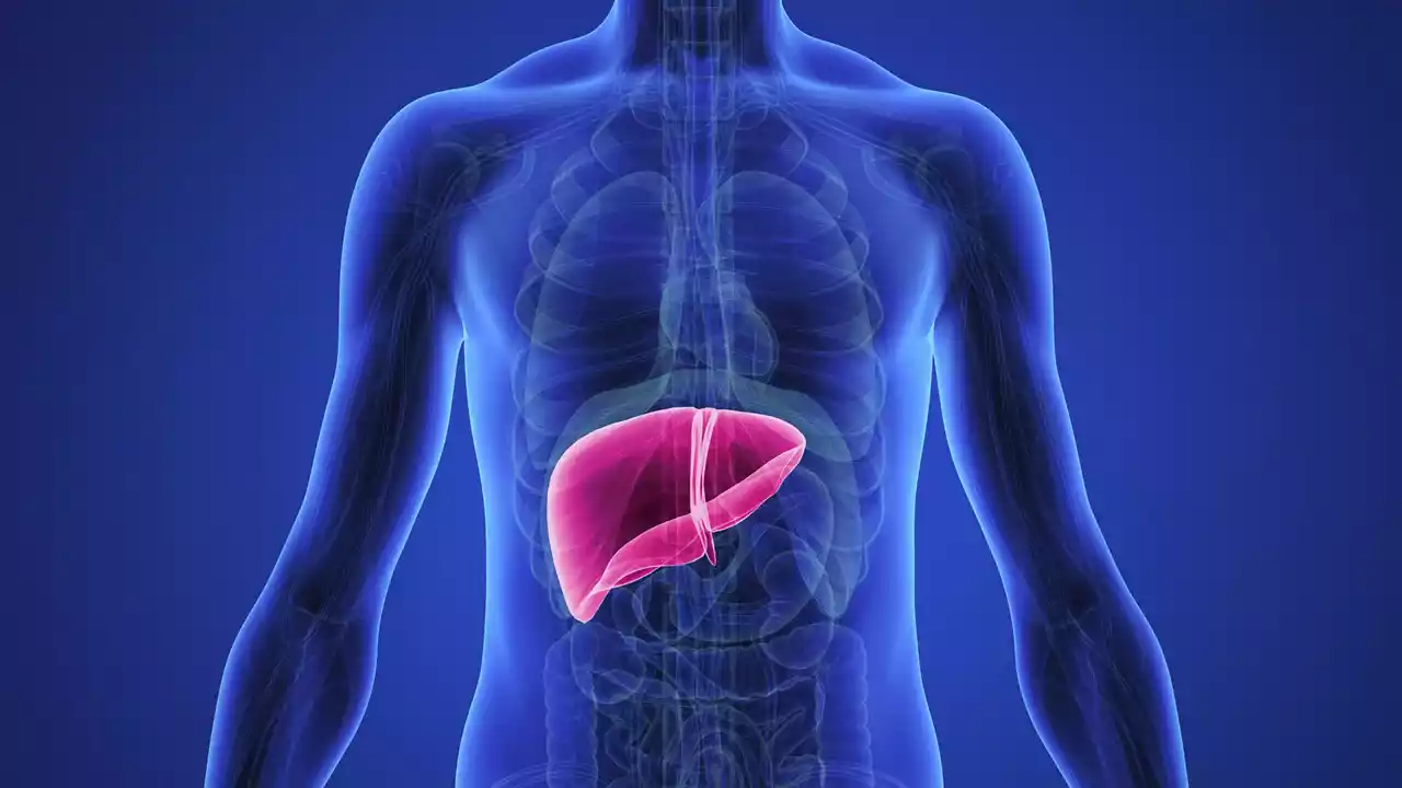 Stem Cell Treatment for Liver Cirrhosis