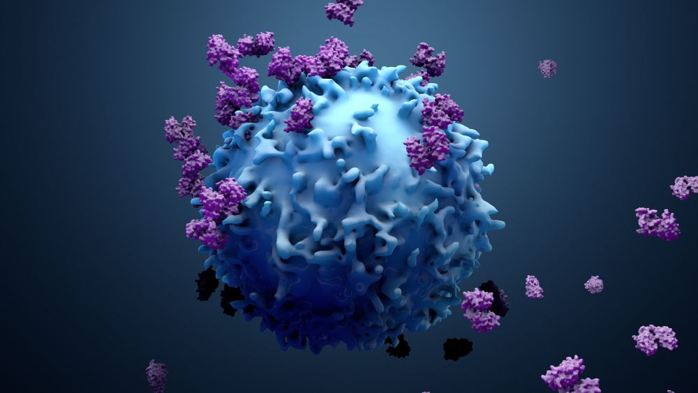 What Are Natural Killer (NK) Cells? Their Role in the Immune System
