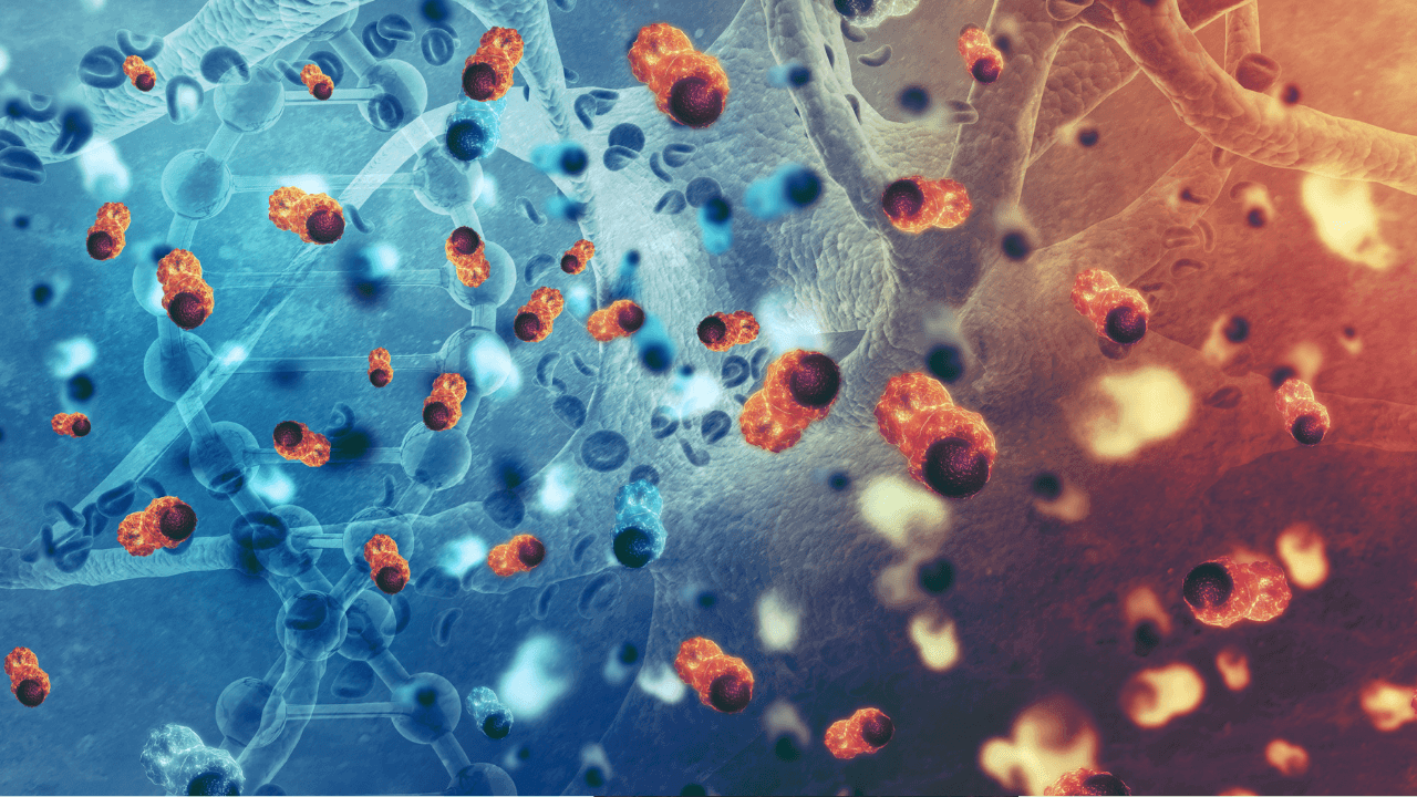 What Is CIK Therapy? How It Is Applied and How It Works in Cancer Treatments