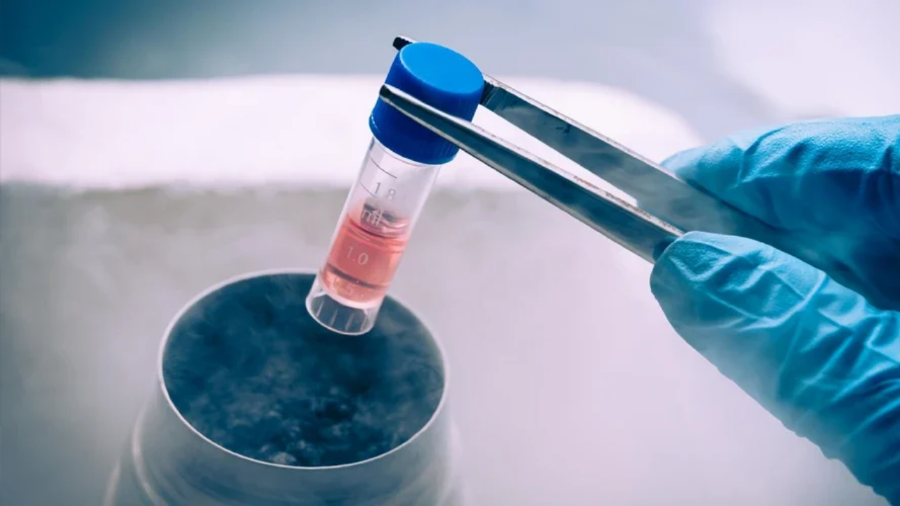 Anti-Aging Stem Cell Treatments